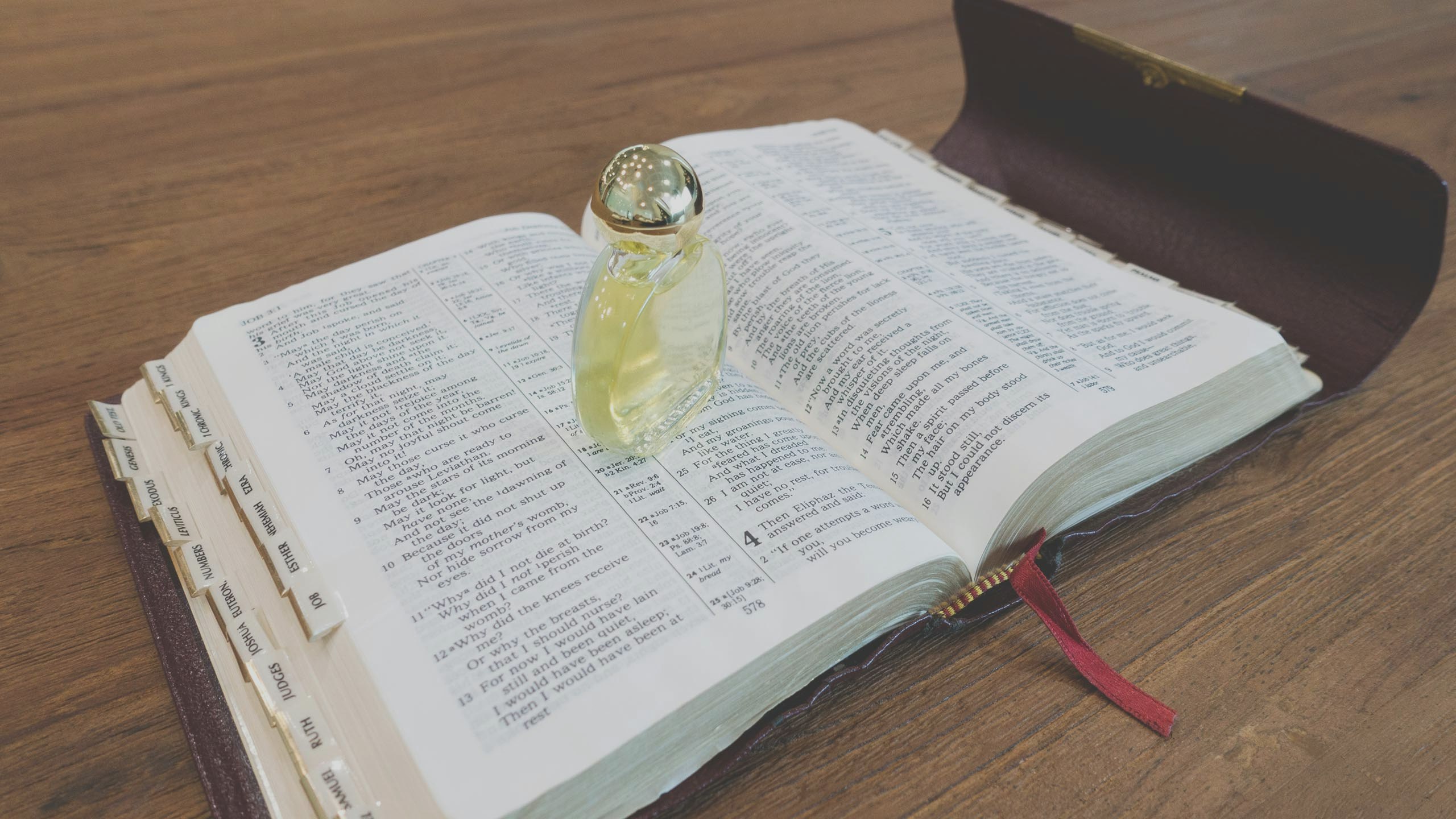 Understanding The Significance Of The Olive Tree And Anointing Oil